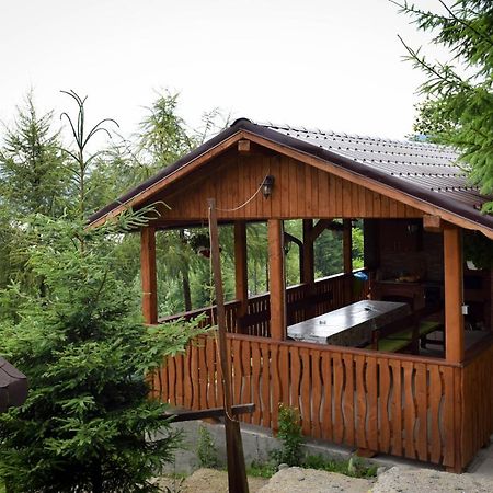 Casa Edy Hotel Colibiţa Екстериор снимка