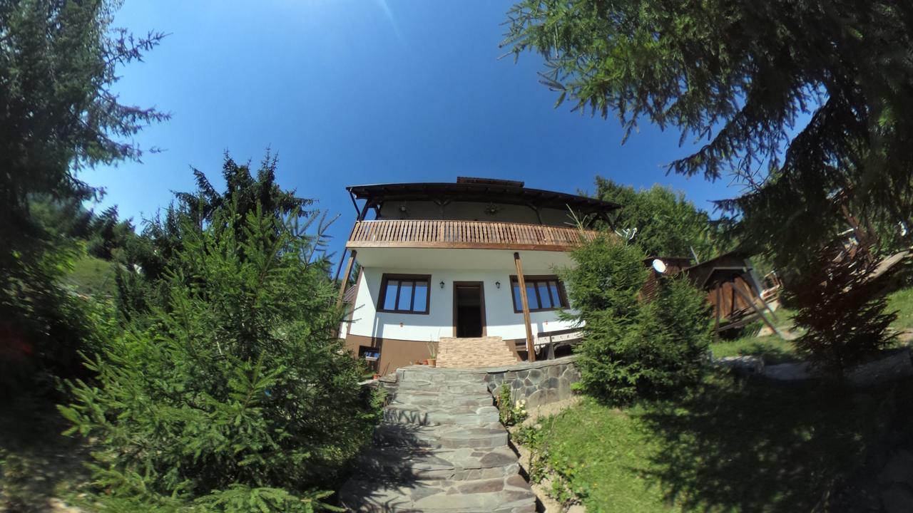 Casa Edy Hotel Colibiţa Екстериор снимка