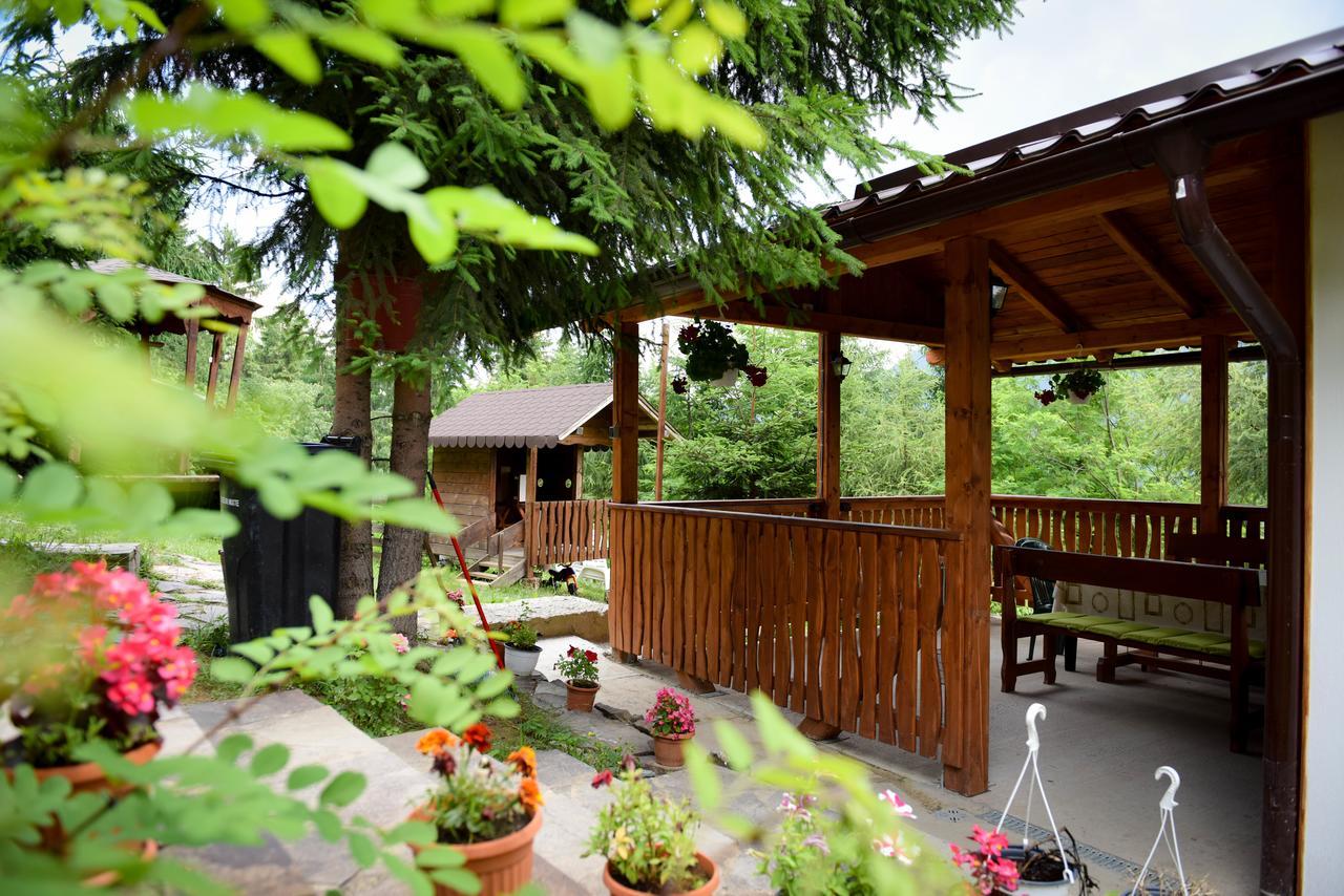 Casa Edy Hotel Colibiţa Екстериор снимка